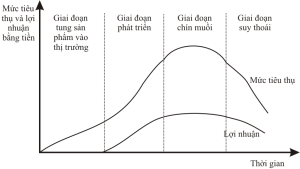 Chiến lược dòng sản phẩm và marketing theo chu kỳ sống của sản phẩm